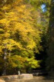 /album/priroda/dsc-0090-jpg/