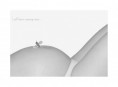 /album/portret/born-jpg/