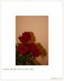 /album/flower-collection/ruze-jpg/