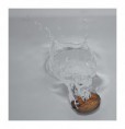 /album/makro/dsc-0076-jpg/
