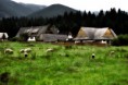 /album/priroda/zuberec2-jpg/