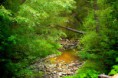 /album/priroda/dsc-0413-jpg/